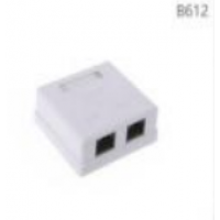 Surface mount box 2P