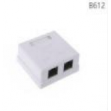 Surface mount box 2P